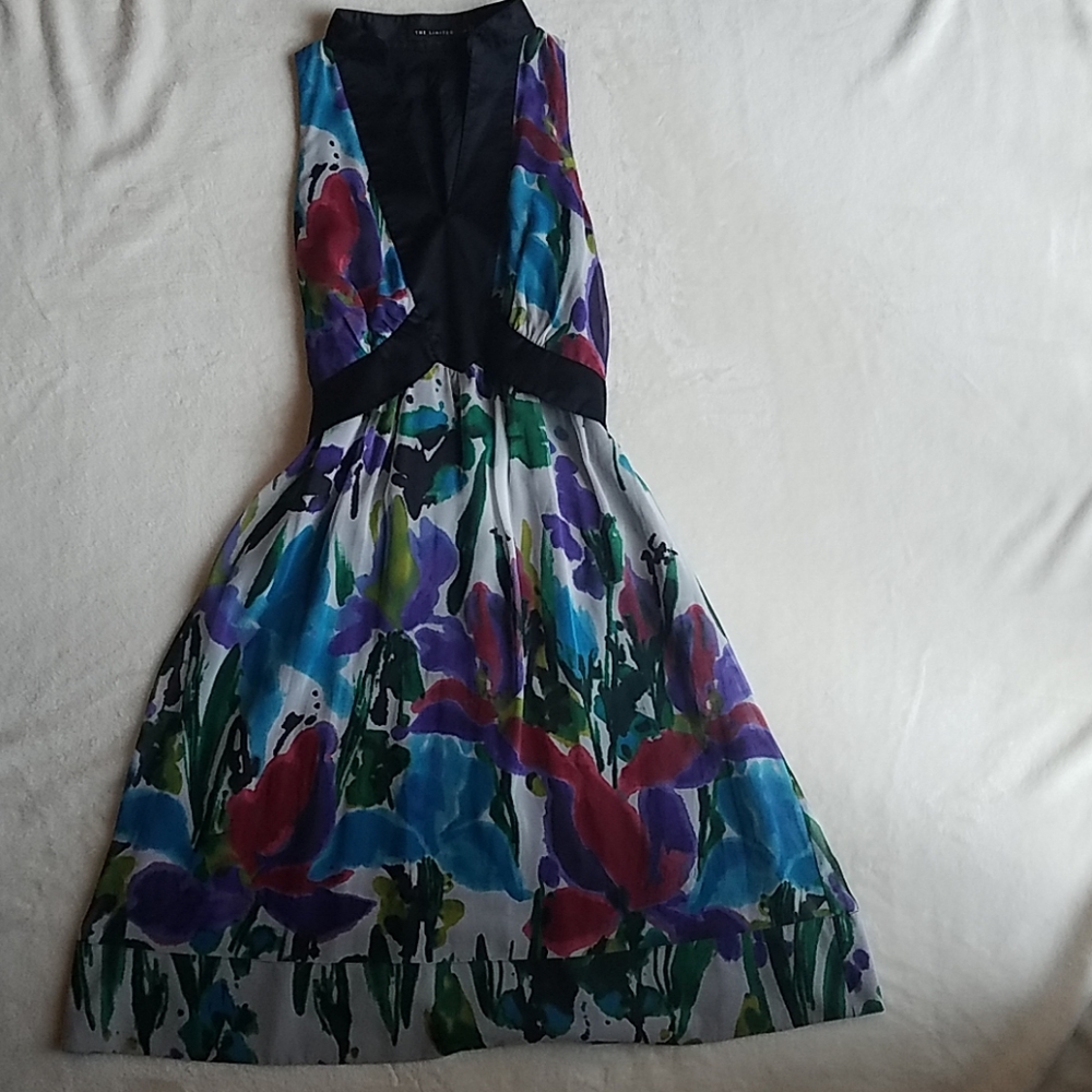 The Limited. Flowery sleeveless dress